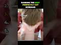 PERFECTLY CUT SCREAMS Compilation