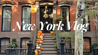 ニューヨークVLOG | 秋のセントラルパーク、ブルックリンでブランチ、ハロウィン in New York、パンプキン畑🎃🍂