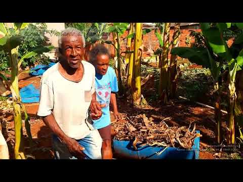 Tô de férias - casa de Cleide, Sebastião R. Silva, 21.07.2026 - Paranavaí – Pr. @ZettyDonizettisilva