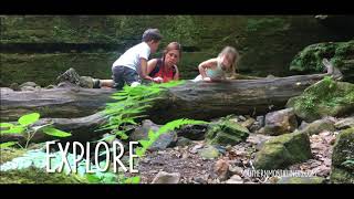 Hike & Explore Southernmost Illinois
