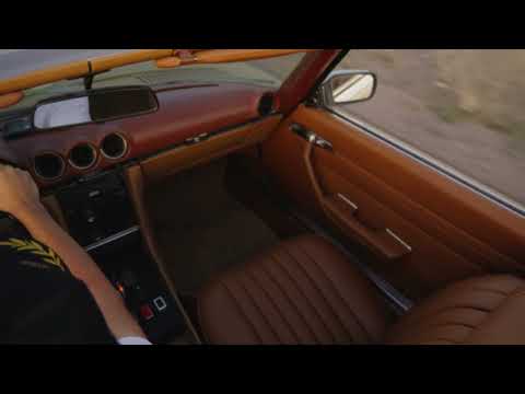 Josué Alaniz - los del proceso (Visualizer)