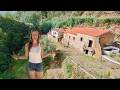 Back Home to Chaos: Wild Boar Damage + New Volunteer Arrives!