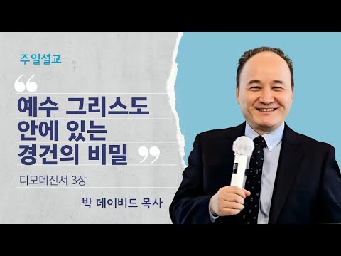영상