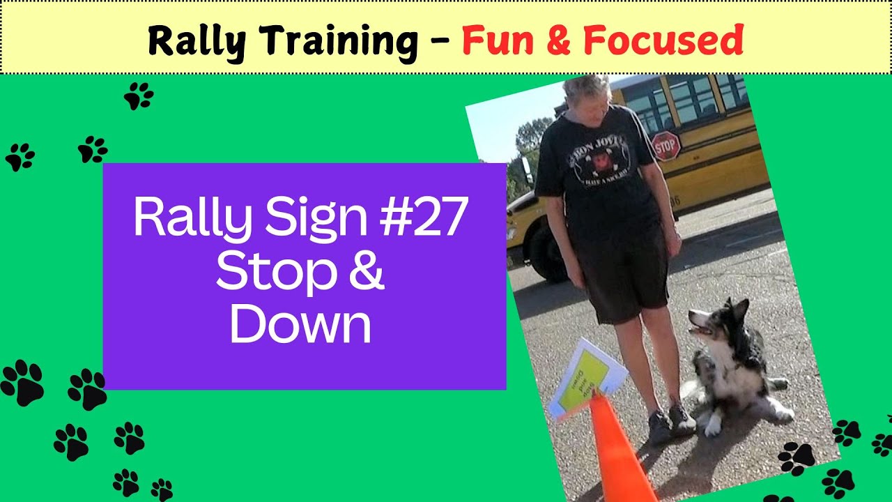 Rally Sign #27 Stop & Down – Dog Training Fun & Focused - DebbyQuigley.com