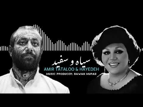 Hayedeh  & Amir Tataloo - هایده و امیر تتلو - سیاه و سفید