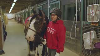 I Am US Equestrian: Veterans & Horses, Finding Their Herd