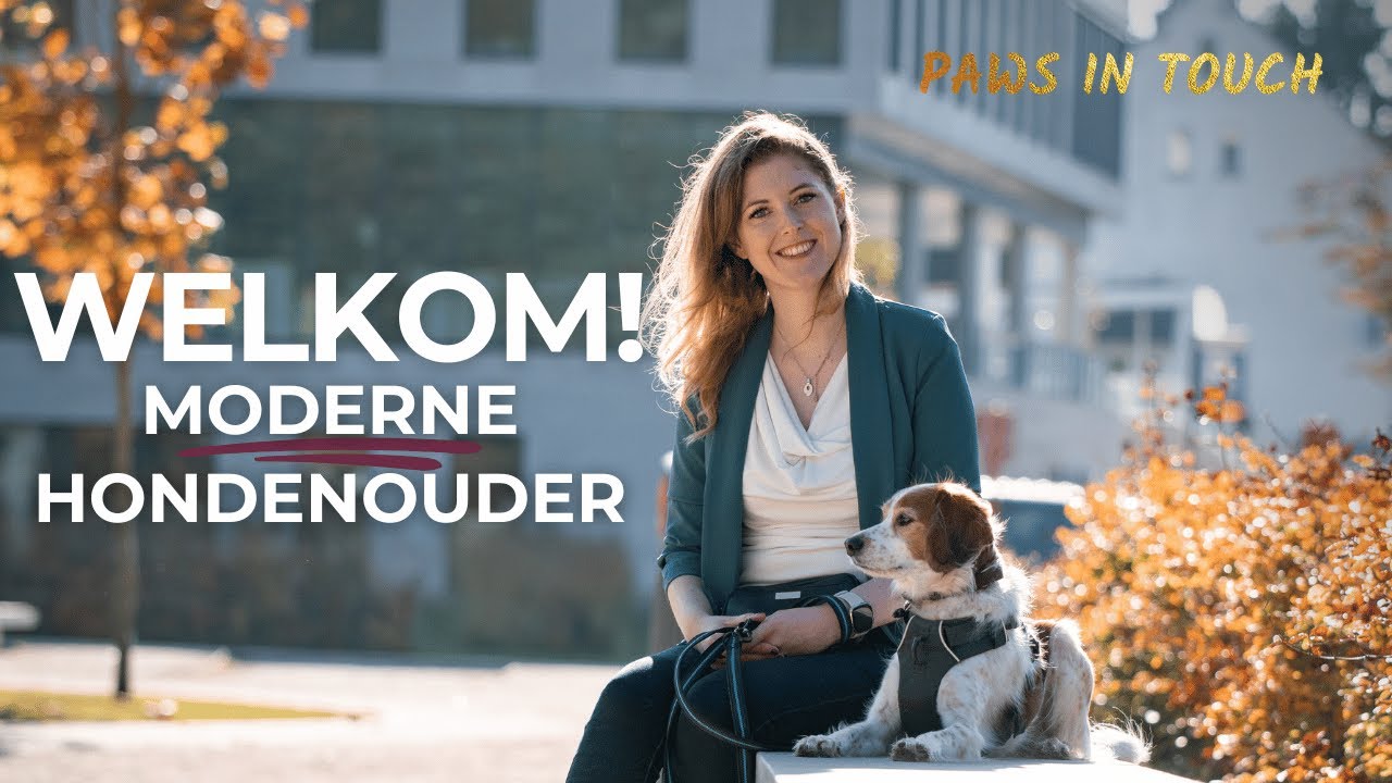 "Moeilijke" of verkeerd begrepen hond? Dit is hoe Paws in Touch anders werkt...