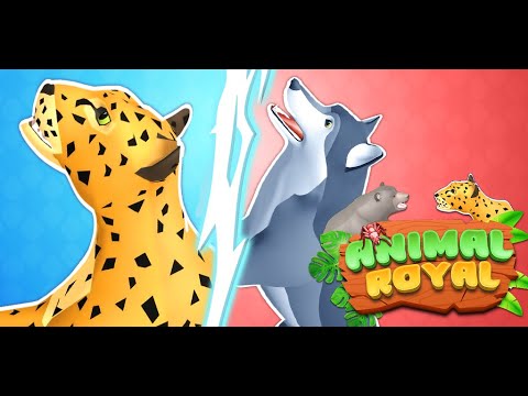 Animal Royal Video