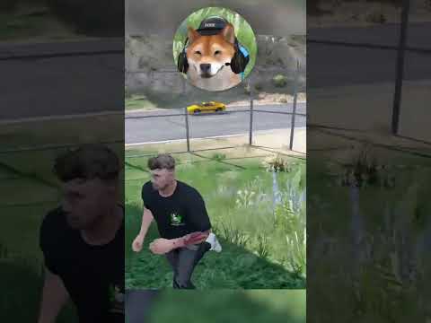 Polizei fährt in Hinterhalt! #csyon #gtarp #gta #rlo