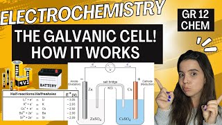Galvanic Cell Electrochemistry: How the galvanic cell works | Grade 12 Chemistry