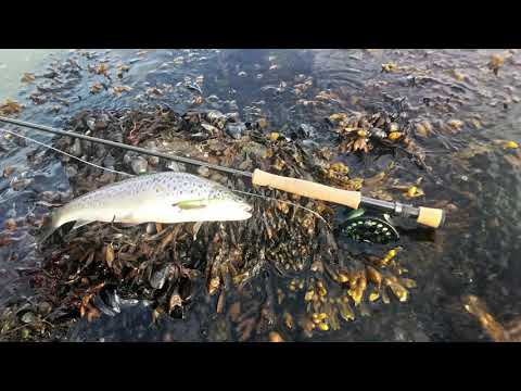 Natfiskeri efter havørred – Hagenør og Sønderskov – Havørred og Sej Natfiskeri efter havørred – Hagenør og Sønderskov – Havørred og Sej