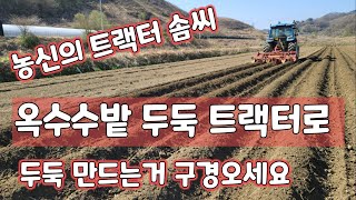 옥수수밭 두둑 만들기 트랙터로 농신의 트랙터 솜씨 자랑 대학찰옥수수  [옥수수재배방법]