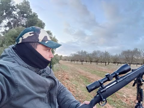 Esperas de Jabalí  Al paso con mucho frío