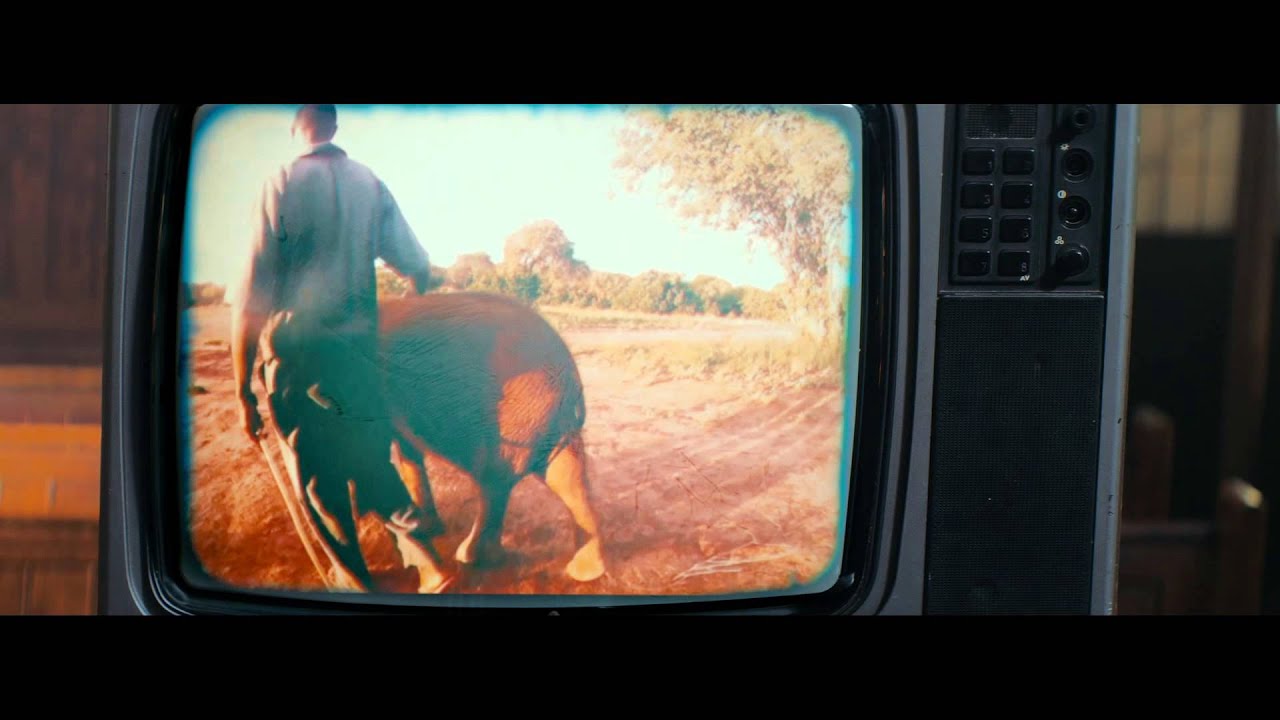 Damon Albarn - Mr Tembo (Official Video)