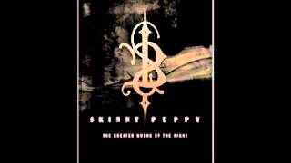 Skinny Puppy - Neuwerld