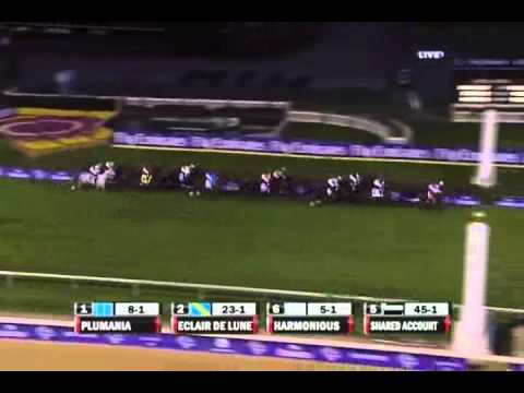 2010 Breeders' Cup Filly and Mare Turf