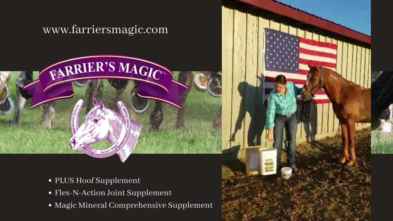 Dewey's Favorite - Farrier's Magic!