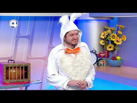 Шарик оживает в прямом эфире