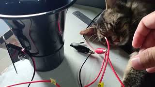 Download lagu Variasi REM Keren Modul REM Angin tanpa Tabung bisa Custom Plus ATRET mp3 Download lagu Variasi REM Keren Modul REM Angin tanpa Tabung bisa Custom Plus ATRET mp3