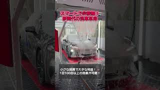 自動洗車機マッサージでとろける馬 / 家電と動物たち のサムネイル