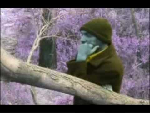 tigringa zekaryas  lelafelema.wmv