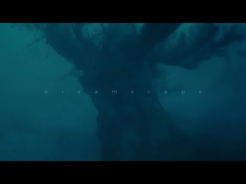 blut own, antent - distant memories