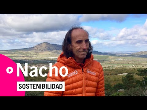 Mi lucha contra el maltrato animal. Nacho