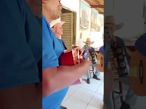 Folia do Divino Pai Eterno, Município de FAINA - GOIÁS.