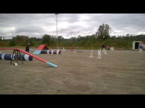 ag 1. dommer Simon Noel, Alta 10 sept 2016