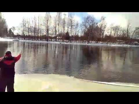 Salmon fishing in kotka, kumijoki river