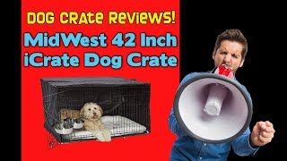 🔴 Dog Crate Reviews 🔴  MidWest 42 Inch iCrate Dog Crate Review