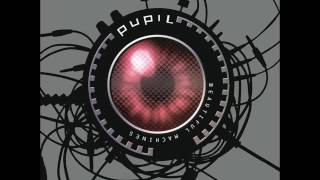 Pupil - False Alarm