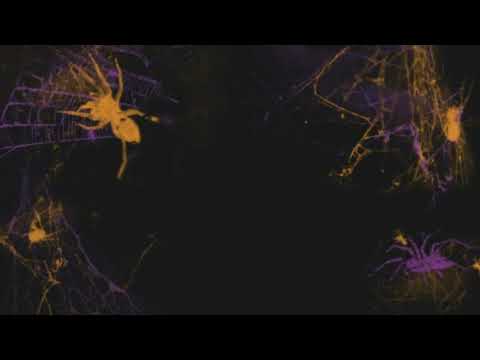 Ducey Guevarra x Alemanone ~ On Citas