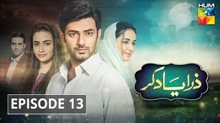 Zara Yaad Kar Episode 13 HUM TV Drama