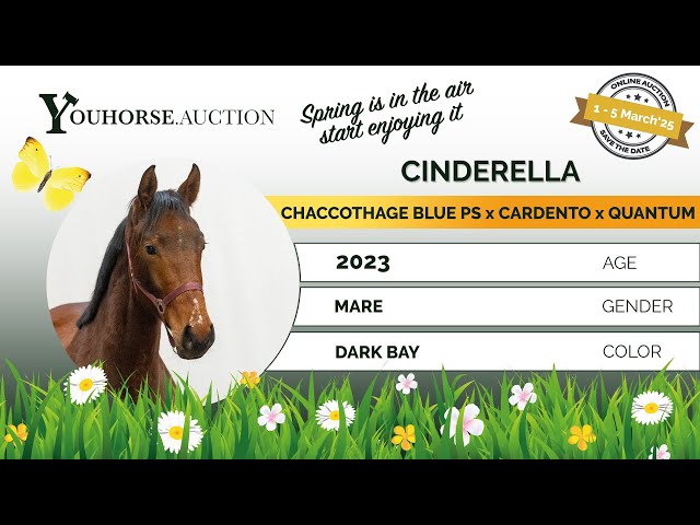 Cinderella