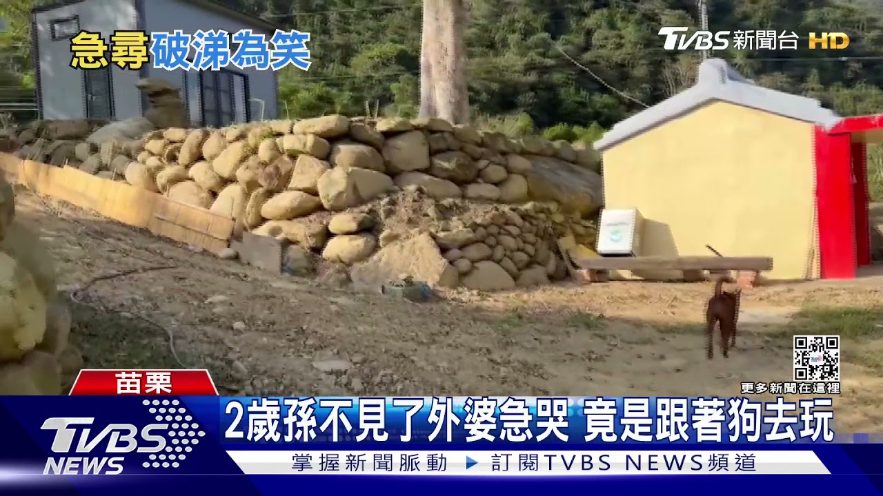 2歲孫不見了外婆急哭　竟是跟著狗去玩