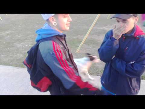 Tinta Msr Vs Zima 430