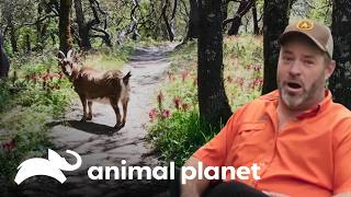 Thumbnail del capítulo