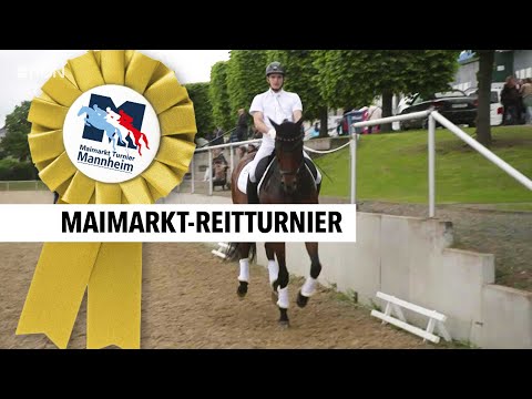 So verlief das 60. Maimarkt-Reitturnier | RON TV