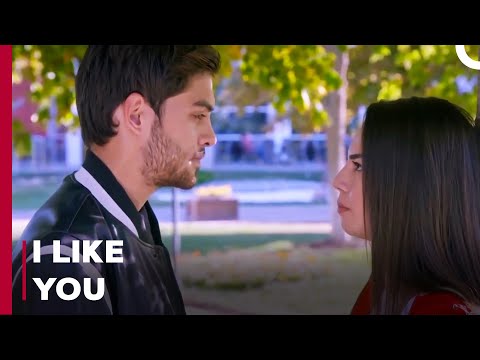 Confession Of Love - Can't Stop Loving You