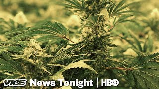 The Black Market For Pot Is Still Thriving In California (HBO)