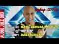 Hip Hop Of Baba Sehgal Professional Rapper Hit Of Baba Sehgal