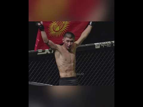 Данияр Тойчубек уулу vs Руслан Сариев #mma
