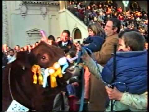 CABAÑA TRES MARIAS P6