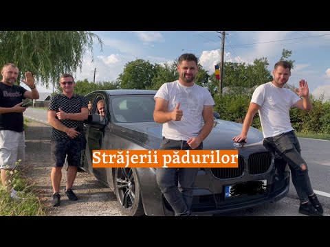 Străjerii pădurilor. Povestea tinerilor care vânează hoții de lemne din Bucovina | Drumul lemnului 2