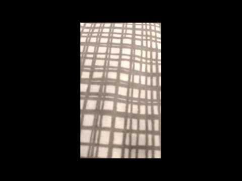 Lil Wayne God Bless America Tekst Lyrics Tekstovi Pesama