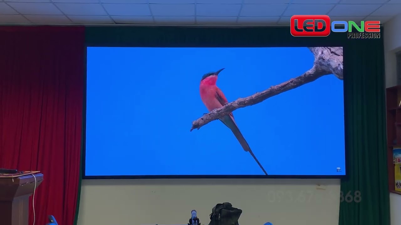 Trường Đại học Luật Hà Nội | Ledone thi công dự án thầu màn hình LED COB P1.86 phòng họp Trực tuyến