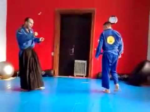Real Aikido.  Igor Petrović