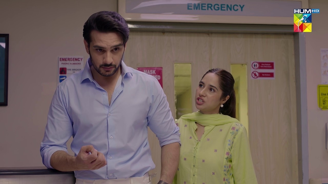 Baba Ki Iss Haalat Ki Zimmedar Tumhari Mangetar Hai! Marg E Wafa [Sabeena Farooq, Mirza Zain] HUM TV