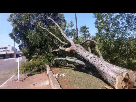 Remodelação de praça no centro de Santa Helena gera polêmica após corte de árvores